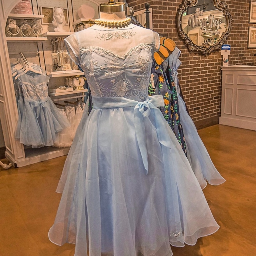 Disney Parks Original Cinderella Dress Blue Tulle Sleeveless Large RARE